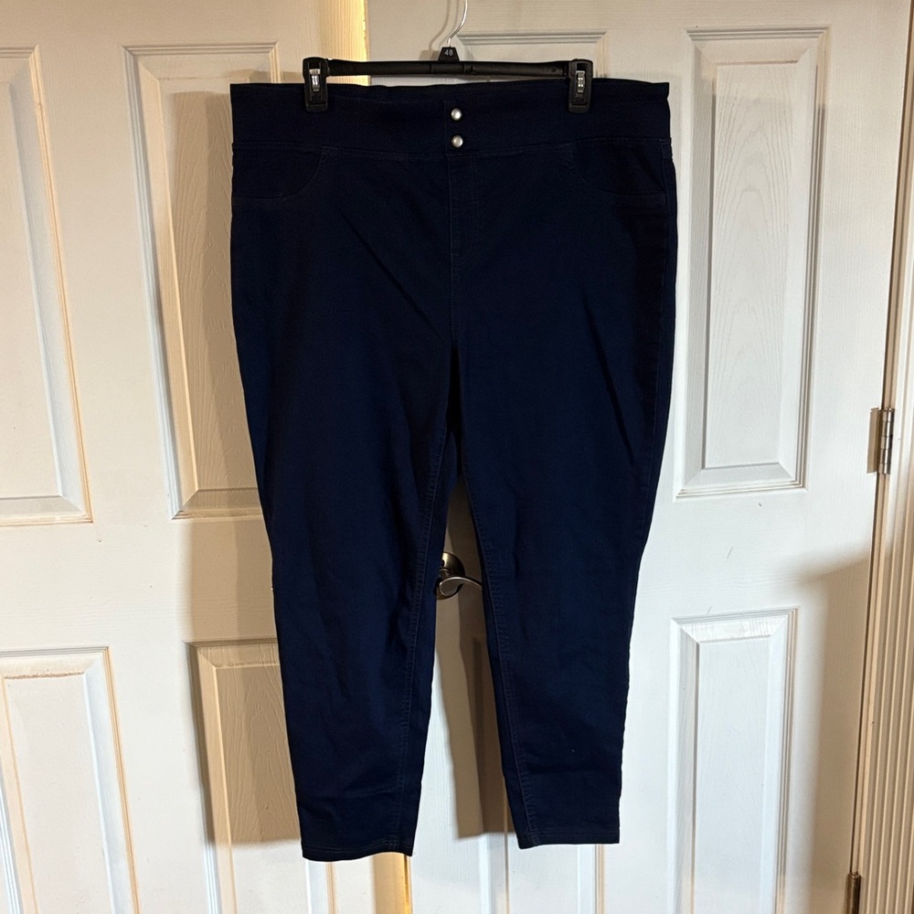 Terra & Sky Dark Blue Ankle Pants